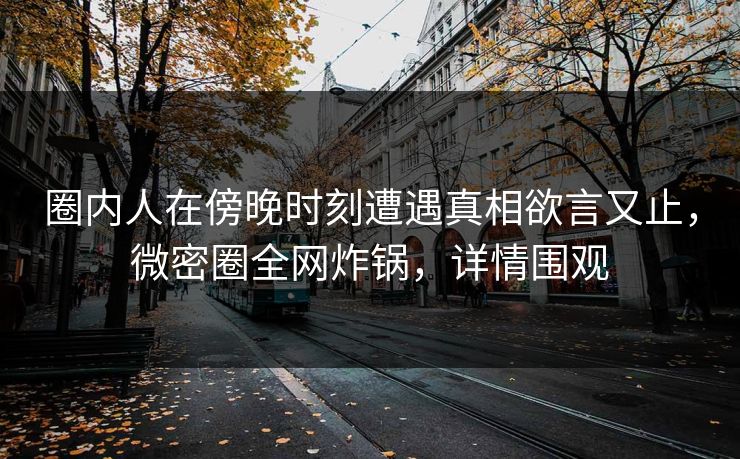 圈内人在傍晚时刻遭遇真相欲言又止，微密圈全网炸锅，详情围观