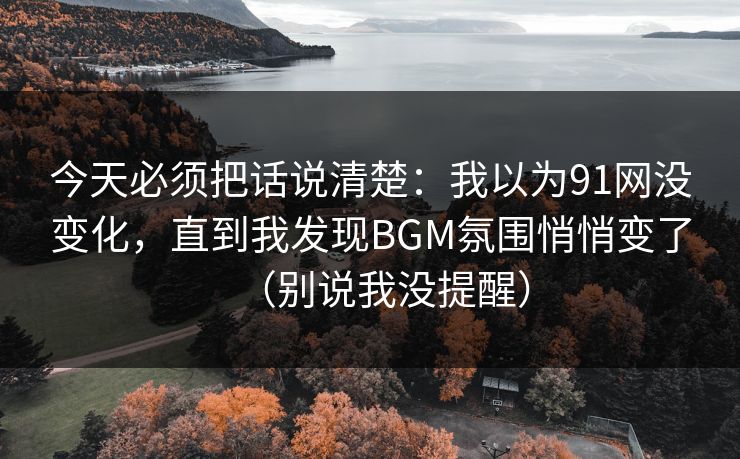 今天必须把话说清楚：我以为91网没变化，直到我发现BGM氛围悄悄变了（别说我没提醒）
