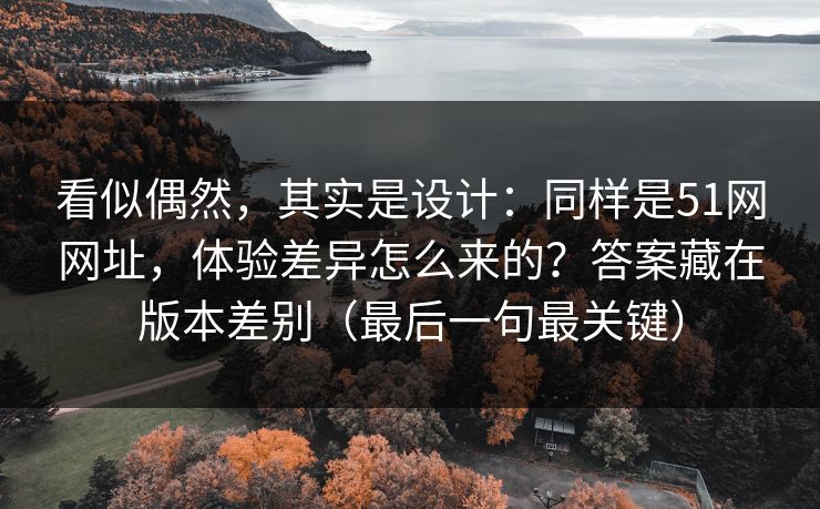 看似偶然，其实是设计：同样是51网网址，体验差异怎么来的？答案藏在版本差别（最后一句最关键）