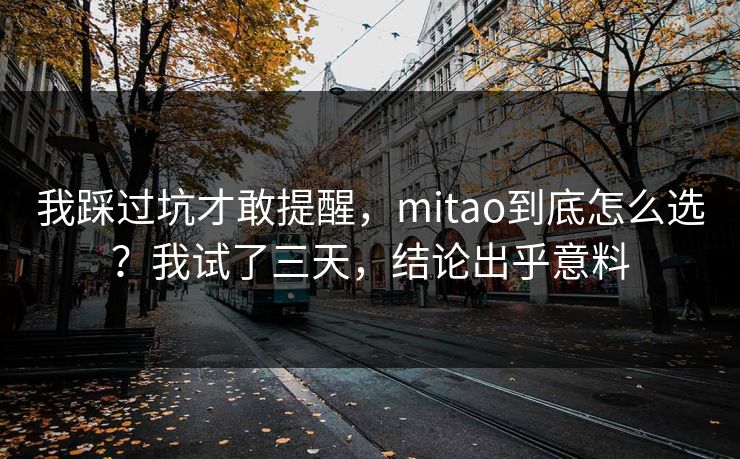 我踩过坑才敢提醒,mitao到底怎么选?我试了三天,结论出乎意料 我踩过坑才敢提醒,mitao到底怎么选?我试了三天,结论出乎意料