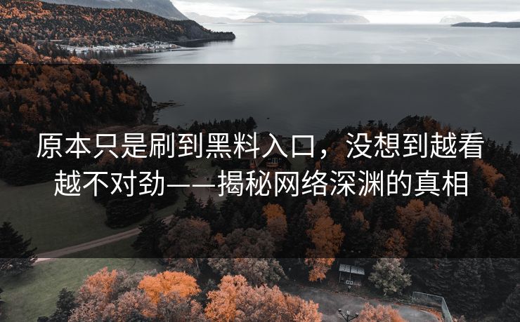原本只是刷到黑料入口，没想到越看越不对劲——揭秘网络深渊的真相