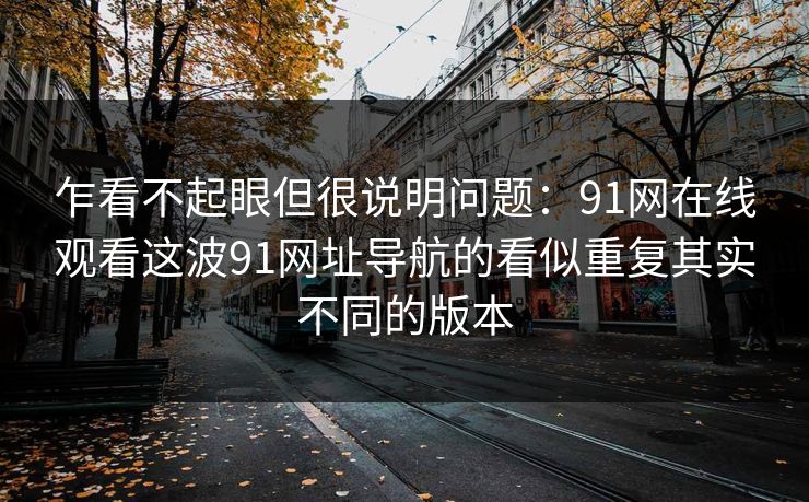 乍看不起眼但很说明问题：91网在线观看这波91网址导航的看似重复其实不同的版本